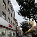 비산네거리 다이소 앞 | 다이소 추천템 화장실용품 변기커버 및 규조토 다용도 활용법