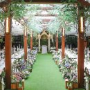 강남-126 이미지