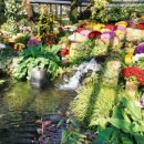 아침고요 이미지