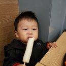 불오뎅양산물금점
