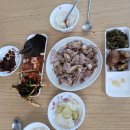 봄의 선물, 제주 밥상 이야기 | 서귀포도서관 &#39;봄의 선물, 제주밥상이야기&#39; 강의 / 고사리 꺾으러 현장체험♡