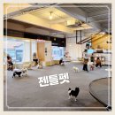 젠틀펫 | 대구 달서구 애견카페 젠틀펫 이용후기