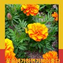 스마트폰활용교실(초급1반) 이미지