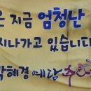 박혜경 예담추어명가 이미지