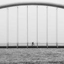 고지혈증 : 정상 수치, 원인, 증상, 그리고 낮추는 방법에 대한 깊이있는 이해! 이미지