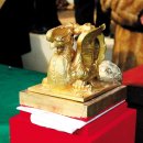 배구목장 이미지