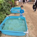 윤스팜 제3농장 | 경기도 아이랑 갈만한곳 수원 포시즌 힐링팜 농장체험 3-4살 총총 내돈내산 후기(주차가능)