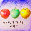 바람그늘
