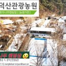 광덕산관광농원호두나무캠핑장 이미지