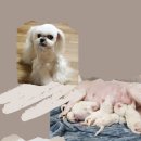 주주클럽 이미지