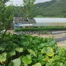 구산면600 이미지