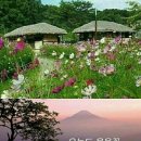 옥녀봉 전망대 이미지