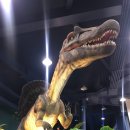 미호박물관 이미지