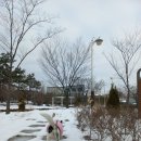 한들방죽공원 이미지