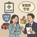 보험사 실적 급락 여파…실손·車보험 줄줄이 인상 압박 이미지