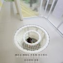 수정아파트14동 | 참으로 맘 편한 곳_초록우산 mom편한 놀이터 + it 놀이터 = 무료입니다