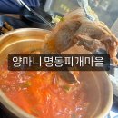 양마니명동찌개마을 | [양마니명동찌개마을] 송산 새솔동 혼밥하기 좋은 점심 메뉴 추천 물냉면 김치찌개 맛집