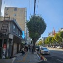 농수산물야채가게
