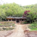 의령 임천정 이미지