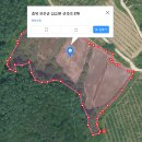 양보 태양광발전소 이미지