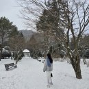 온돌찌게 | 평창 밀브릿지 1동 102호 숙박 후기(저녁 - 수육, 조식), 삼양라운드힐, 대관령하늘목장 ♪