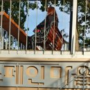 매화시장 이미지