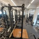 브라운짐 이미지