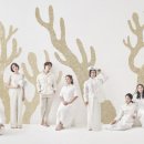 나무물고기 이미지