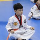 SOO태권도장 이미지