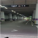 길메디텍 네이버블로그