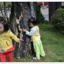 모산목장 이미지