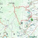 장수버섯 이미지