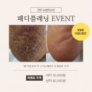 눈썹하는날