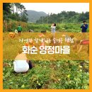 양정달마루마을 이미지