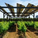 광의농장 이미지