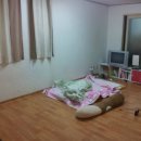 반지공인중개사사무소 이미지