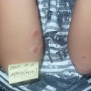 본가한의원 이미지