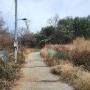 우면산3-19 이미지