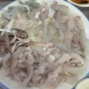 [후기] 푸짐했던 통영 중앙시장 횟집 추천 &amp;통영꿀빵