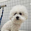 반자주 진해점 이미지