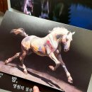 영원청과