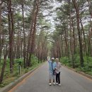 은마차