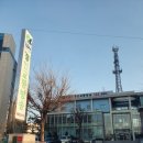 영화에코블루