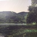 나주식당 이미지