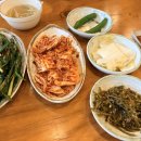 가장맛있는족발다산지금점 | [동탄/맛집] 가장맛있는족발 남동탄점