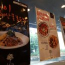 국수나무 양지점 네이버블로그