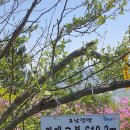 초암산 이미지