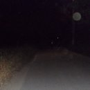 목장길따라 Daum카페