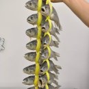 영광수지 이미지