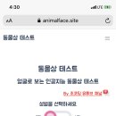 유튜버로 인싸 되기 이미지